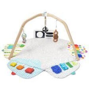 The Play Gym | Baby Activity & Tummy Time Mat